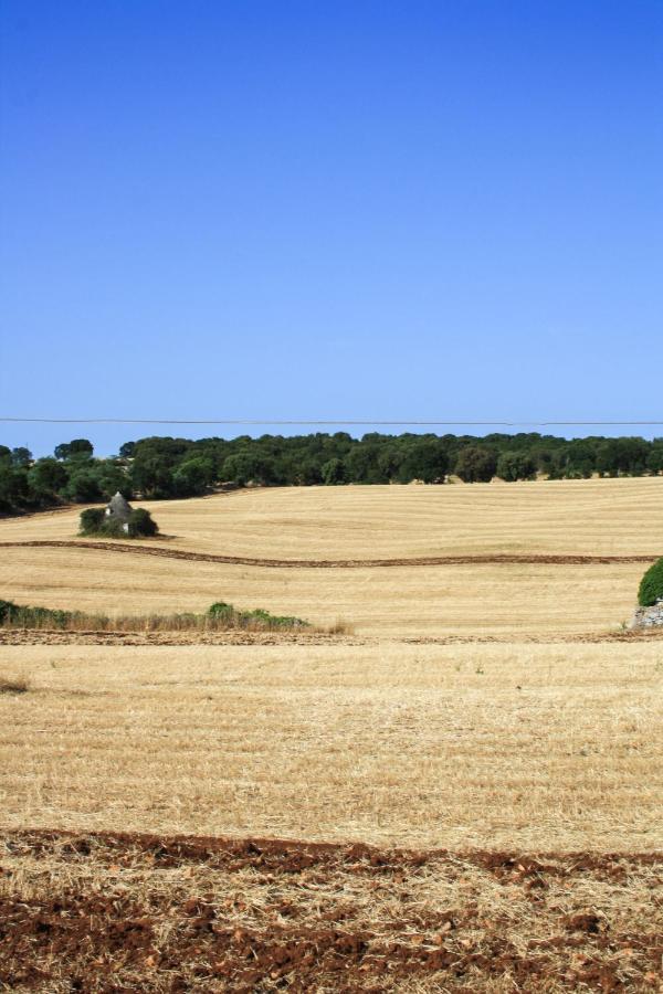 ノーチ Enjoytrulli - Countrysideヴィラ エクステリア 写真