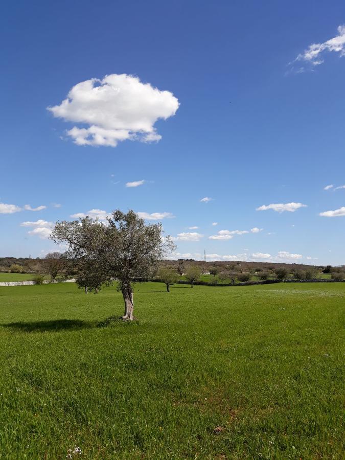 ノーチ Enjoytrulli - Countrysideヴィラ エクステリア 写真
